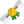 Unsere Geschichte Icon - Bl4cklist ~ Deutscher Gaming-& Tech Discord-Server